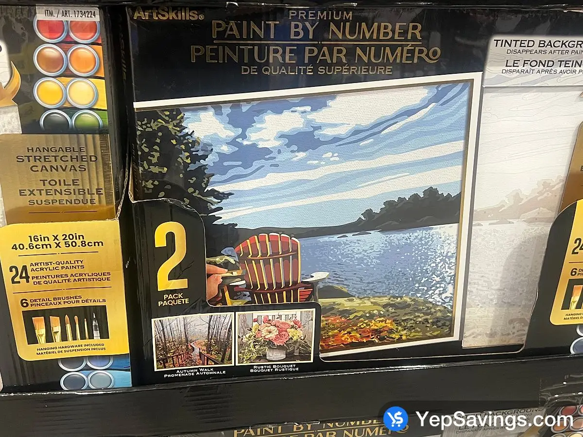 Costco ARTSKILLS PAINT BY NUMBER PACK OF 2 - Canada (ITM 1734224)