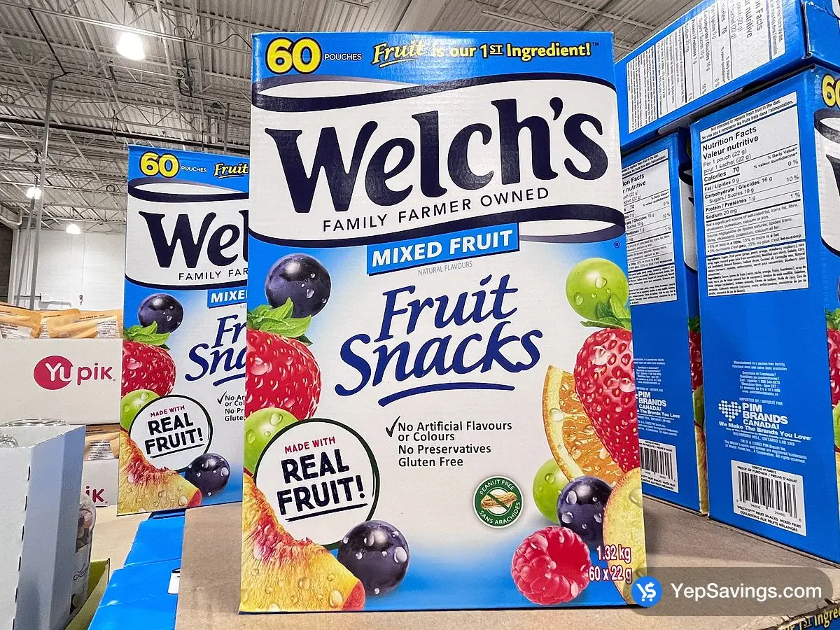 WELCH'S FRUIT SNACKS 60 X 22g ITM 1704012 at Costco