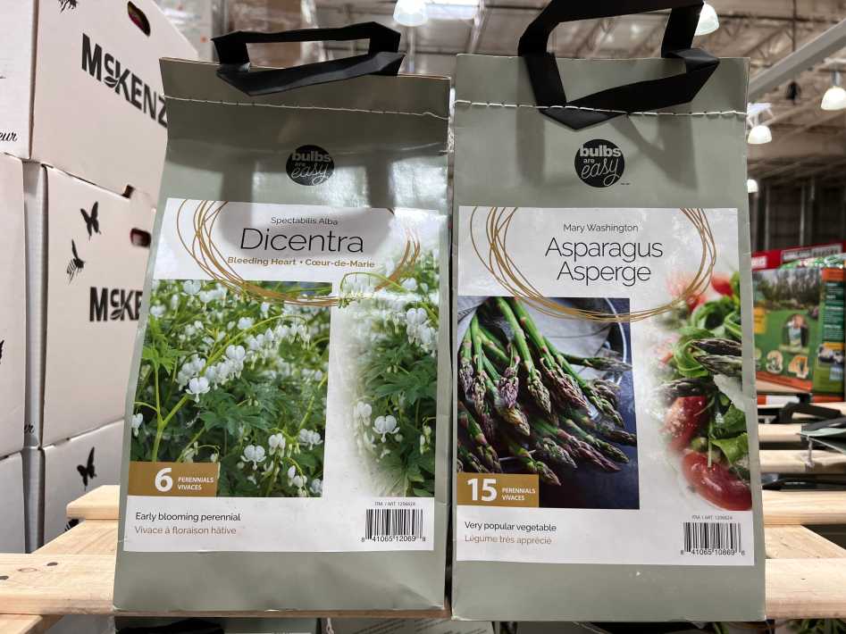 BULBS ARE EASY ASSORTED PERENNIAL BULBS ITM 1206624 at Costco