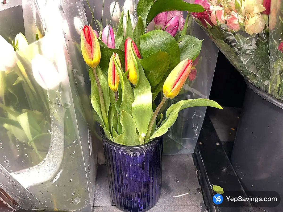 Costco TULIPS IN A VASE - Canada (ITM 1936286)