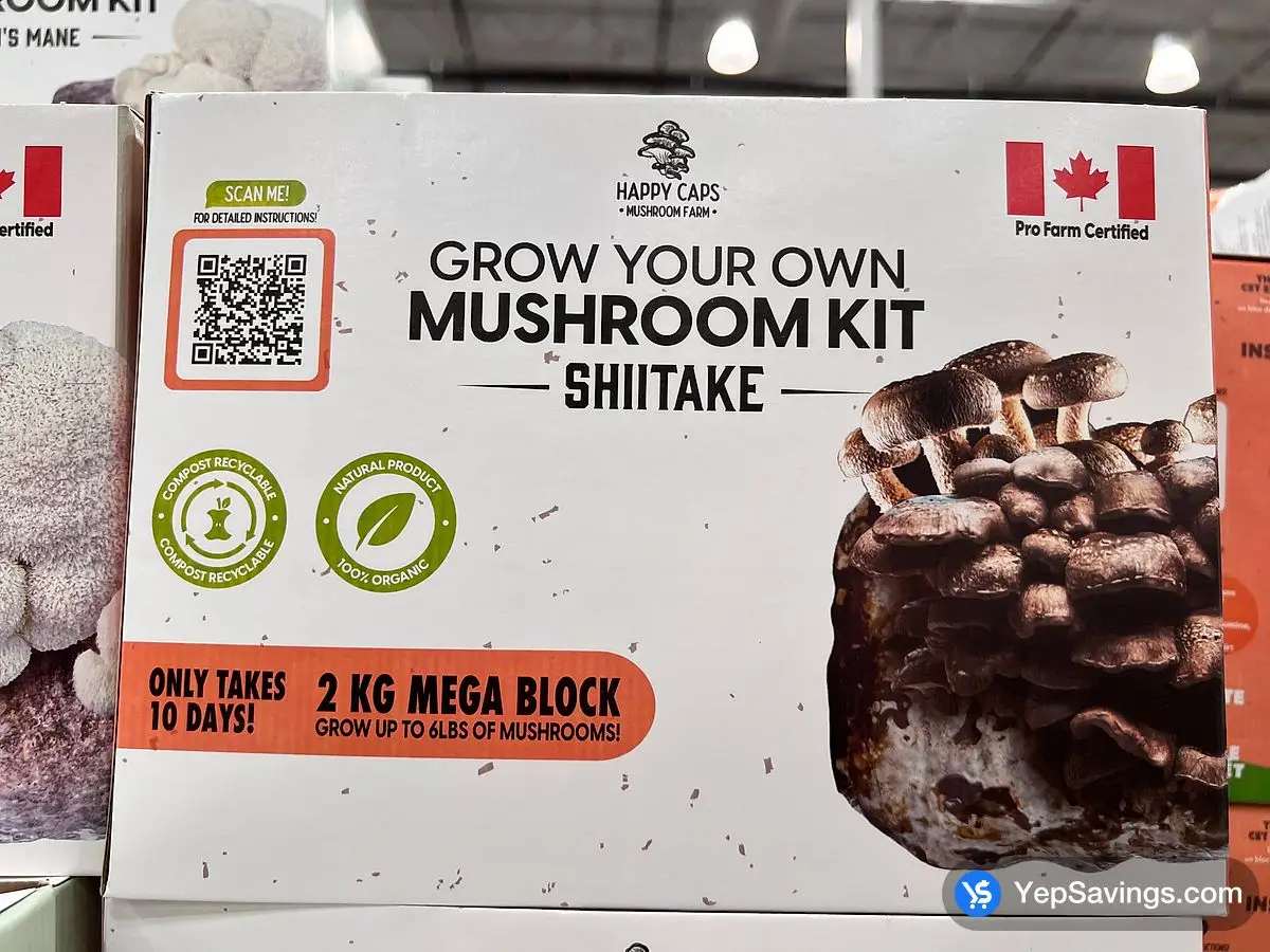 Costco GROW YOUR OWN MUSHROOM KIT 2 kg ( 6lb . ) - Canada (ITM 1832780)
