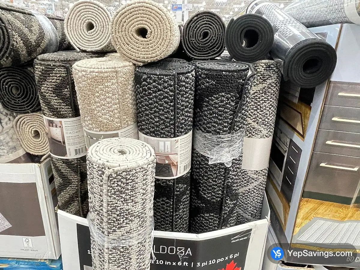 Costco BALDOSA VESTIBULE RUG 46" X 72" - Canada (ITM 3391400)