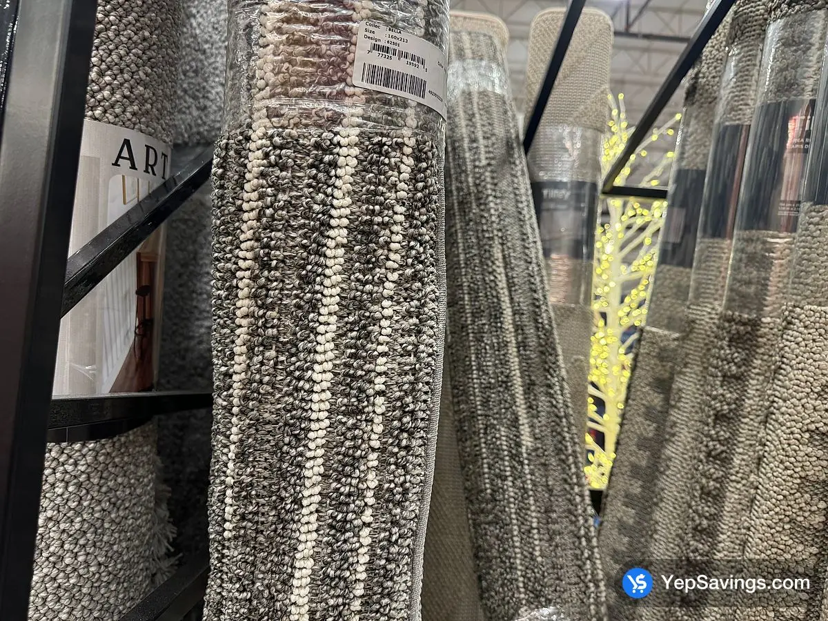 Costco TILLEY AREA RUG 5'2 " X 7 ' - Canada (ITM 1813836)