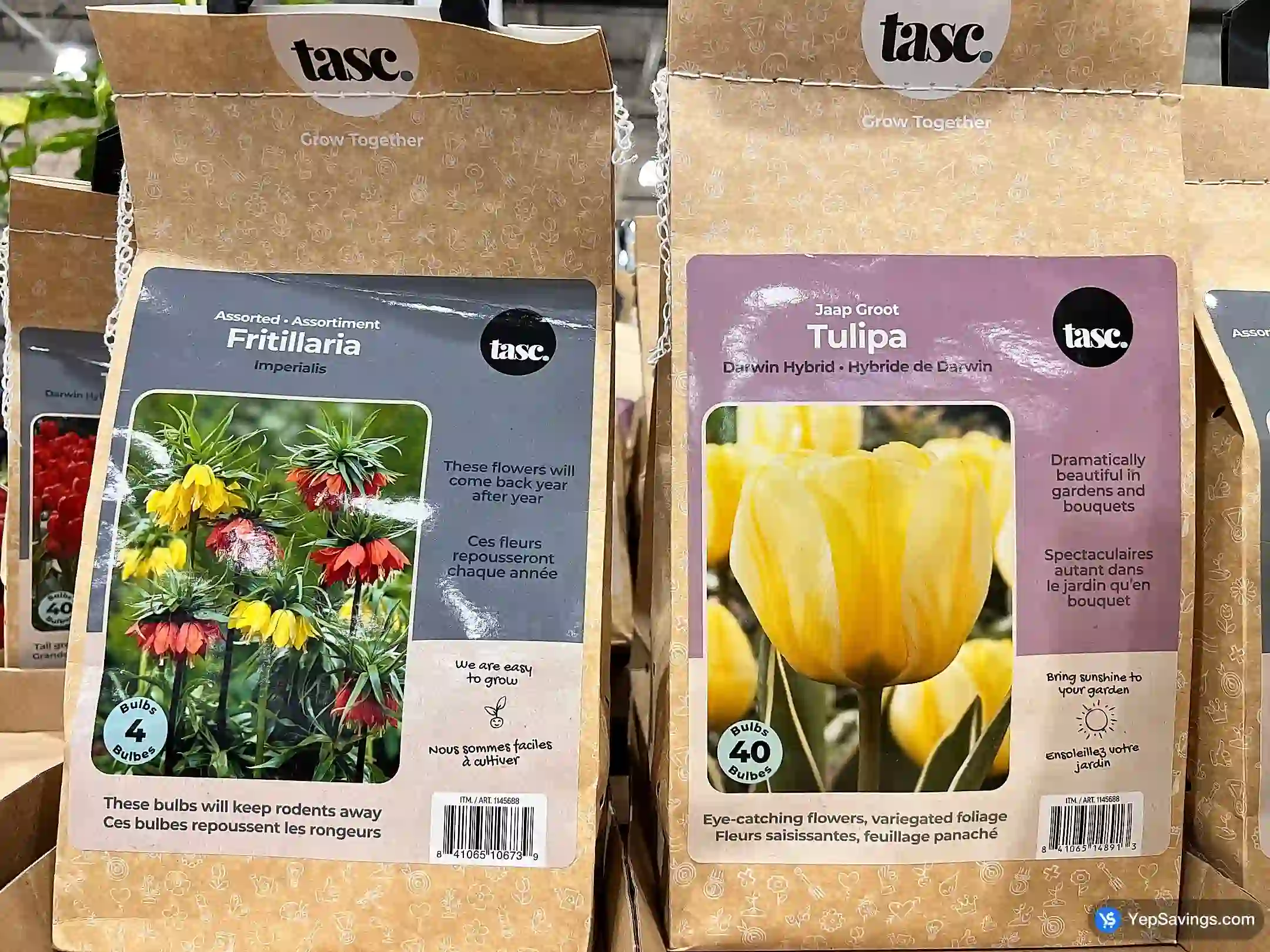 Costco BULBS ARE EASY AUTUMN BULBS ASSORTED - Canada (ITM 1145688)