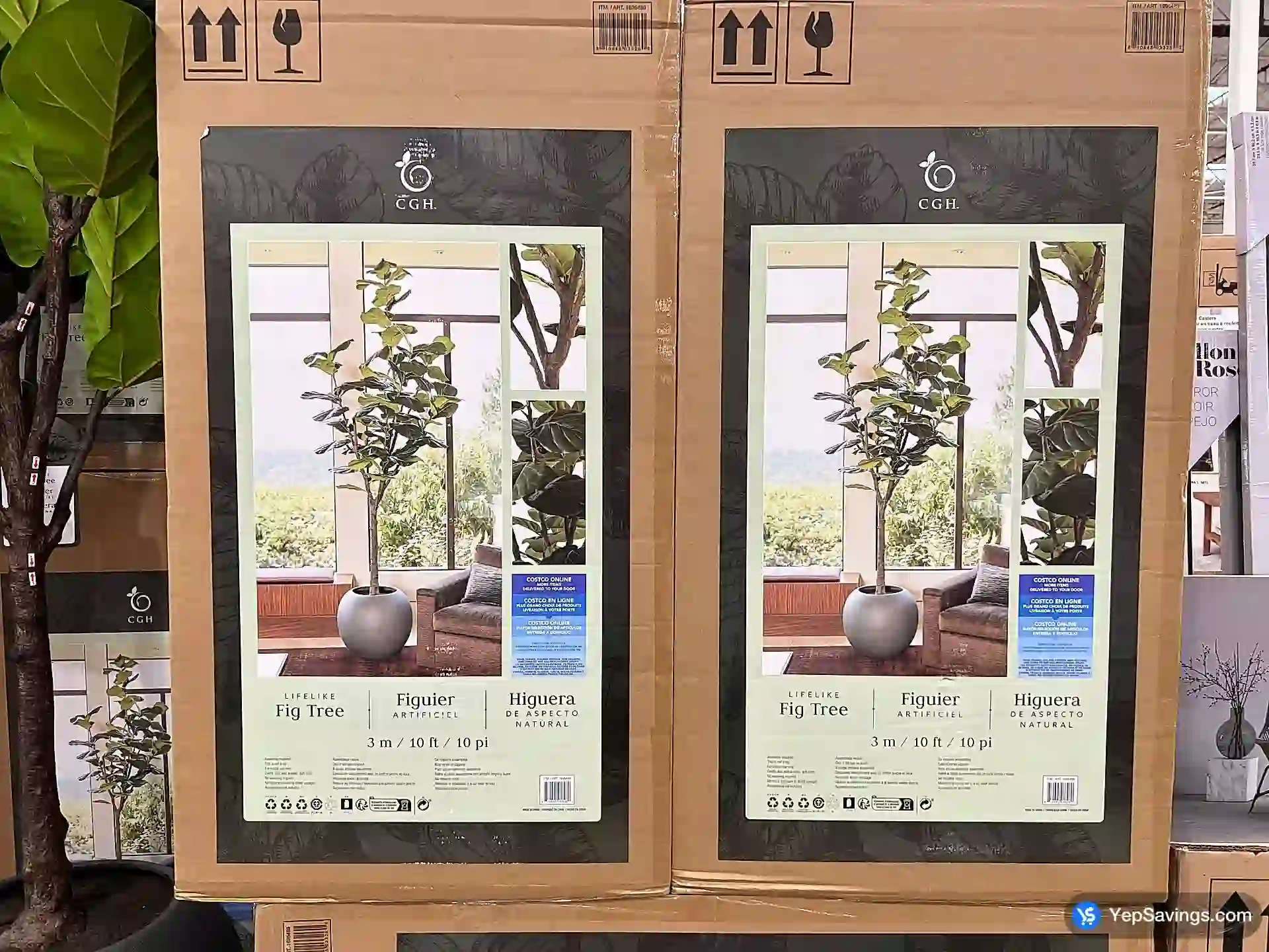 Costco CG HUNTER FAUX FIG TREE 10 ft / 1 BOX - Canada (ITM 1695489)