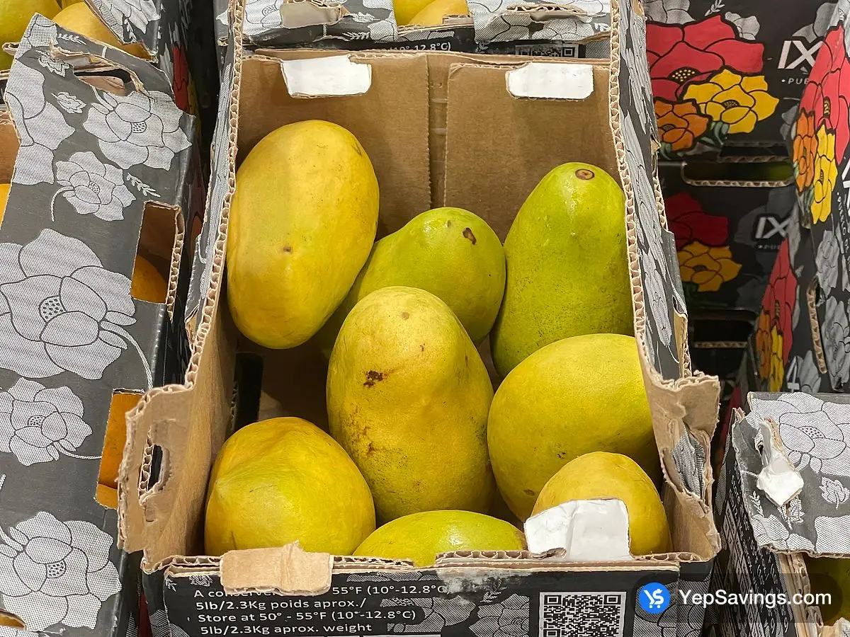 ATAULFO MANGOES PRODUCT OF MEXICO  ITM 280100 at Costco