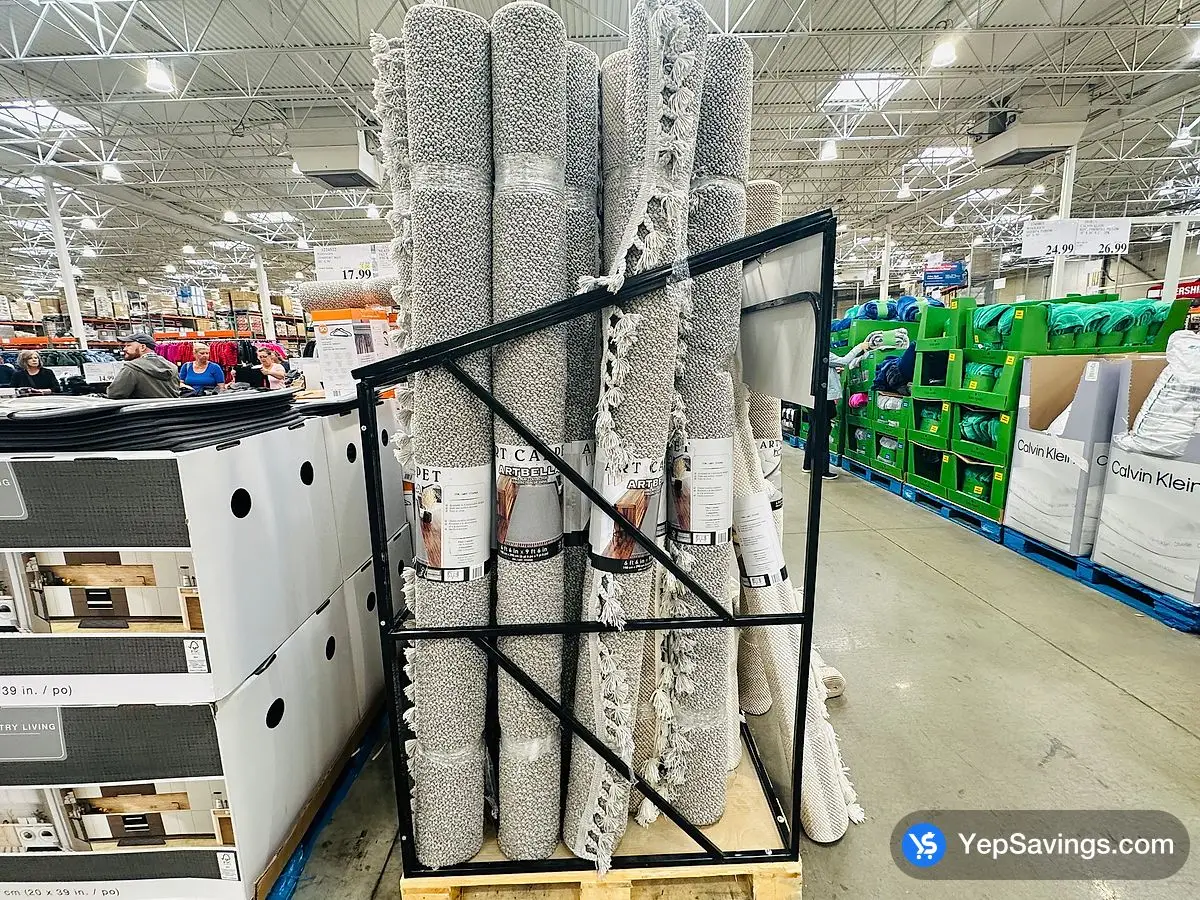 Costco ARTBELLA RUG AREA RUG 6'6 " X 9'6 " - Canada (ITM 1714965)