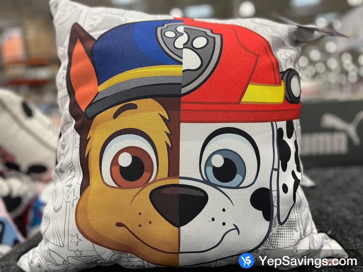 Costco LICENSED KIDS FLOOR PILLOW 22 " X 22 " - Canada (ITM 1790015)