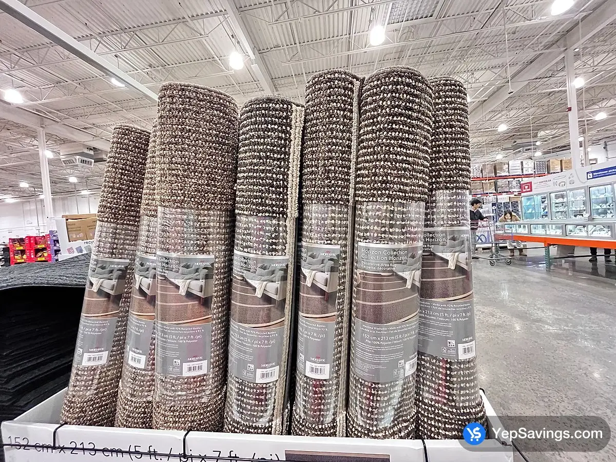 Costco MOHAWK HOME DECORATIVE AREA RUG 5'x7 ' - Canada (ITM 5788568)
