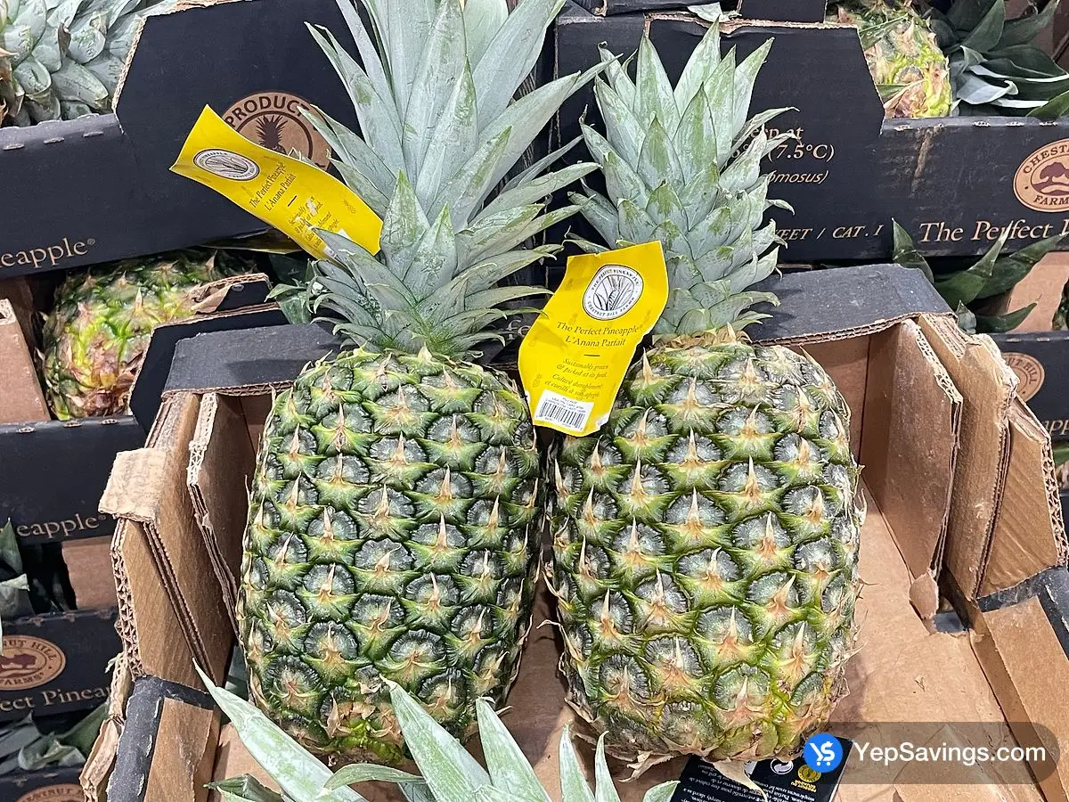 GOLDEN PINEAPPLE PRODUCT OF COSTA RICA  ITM 15099 at Costco