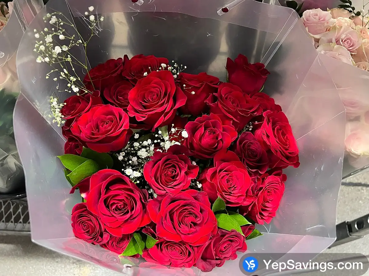Costco BE MINE 24 RED ROSES IN A VASE - Canada (ITM 1109485)