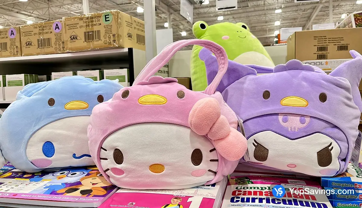 Costco HELLO KITTY PAIL ASSORTMENT - Canada (ITM 1861526)