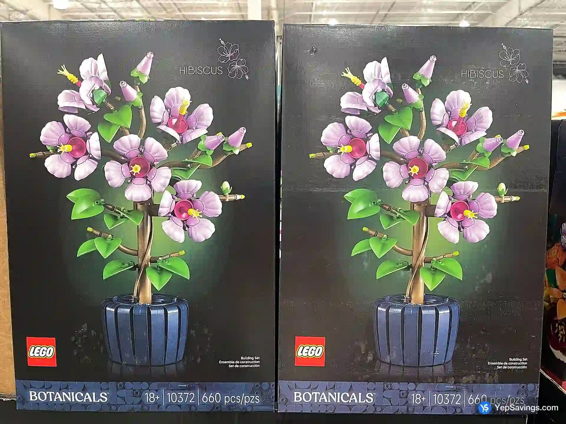 BOTANICALS HIBISCUS view 3