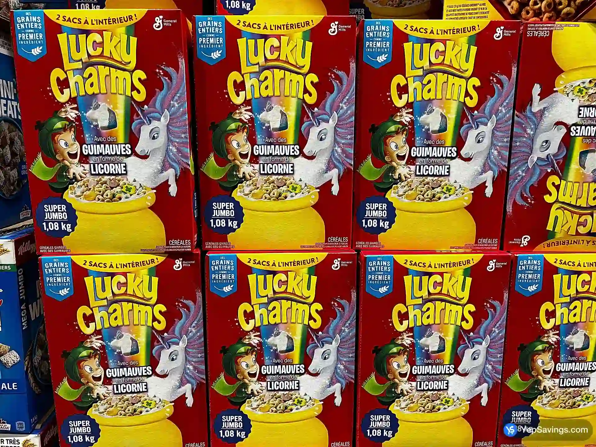 LUCKY CHARMS view 3