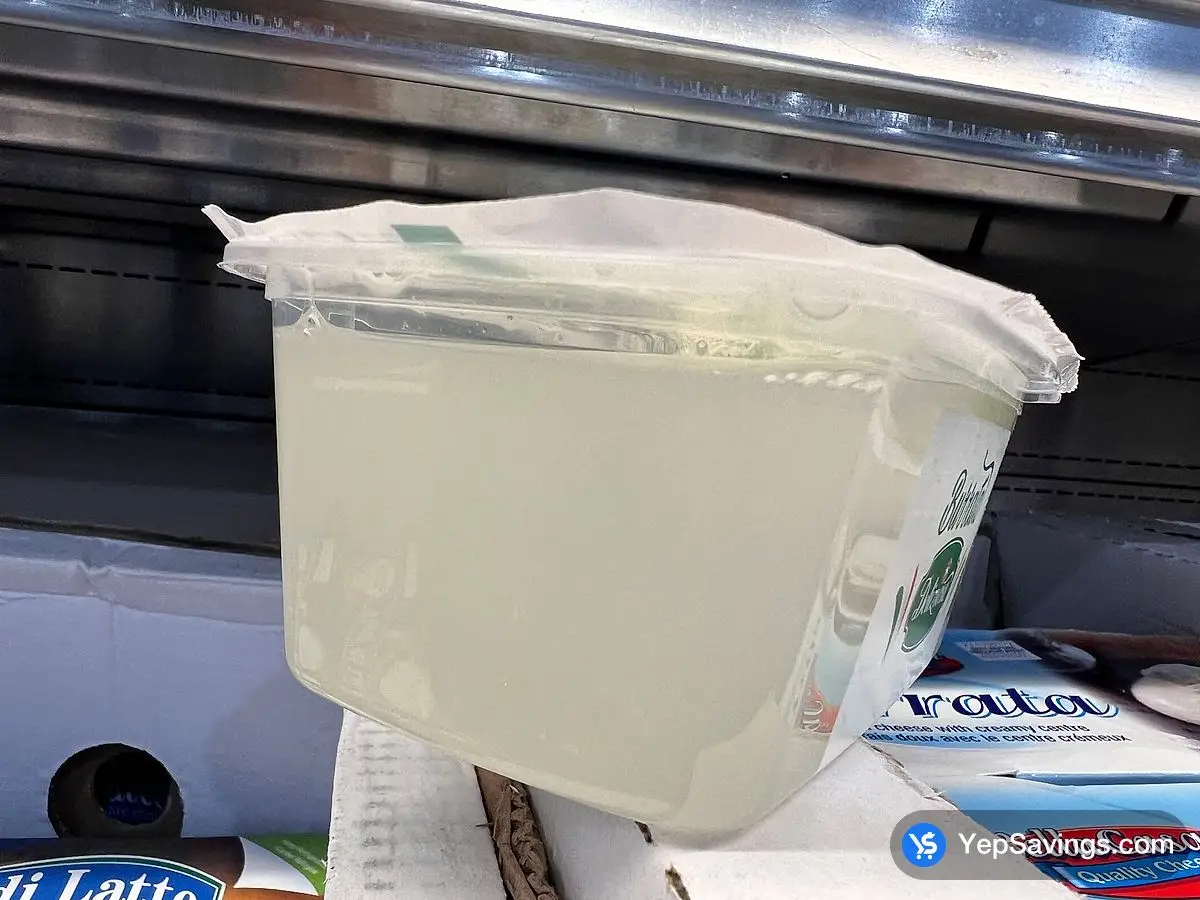 Costco DELIZIA ITALIAN BURRATA 2 x 100 g - Canada (ITM 5058020)