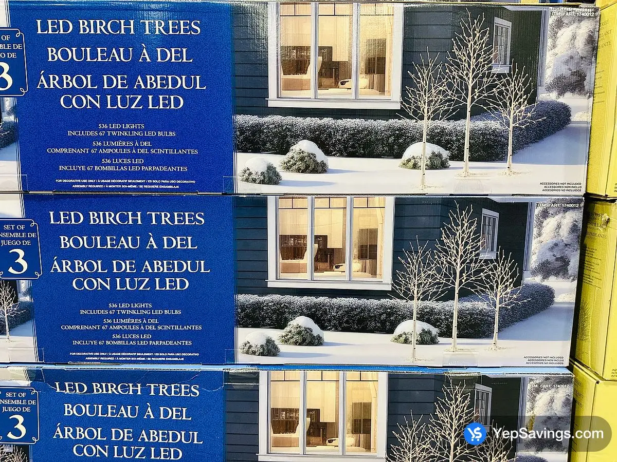 Costco SET OF 3 LED BIRCH TREES WITH LED LIGHTS - Canada (ITM 1740012)