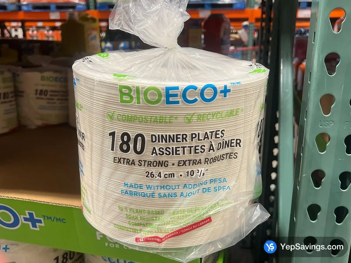 BIOECO DINNER PLATES view 2