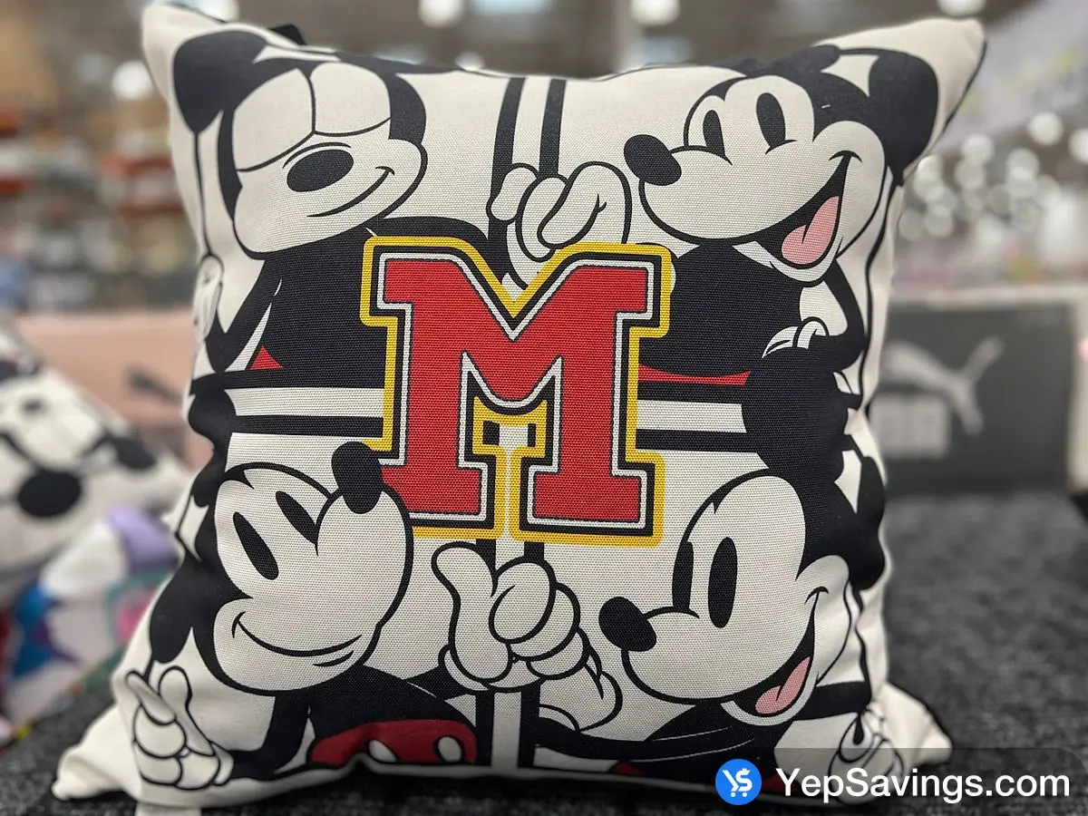 Costco LICENSED KIDS FLOOR PILLOW 22 " X 22 " - Canada (ITM 1790015)