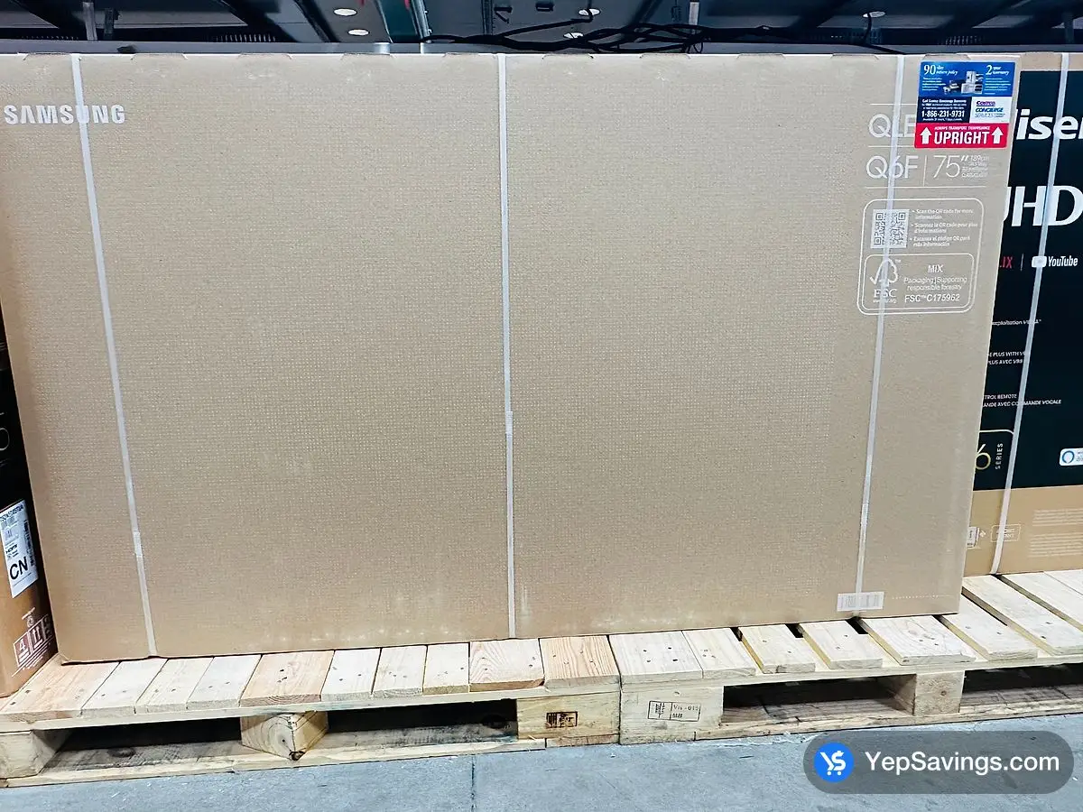 75 " CLASS ( 74.5 " ) view 2