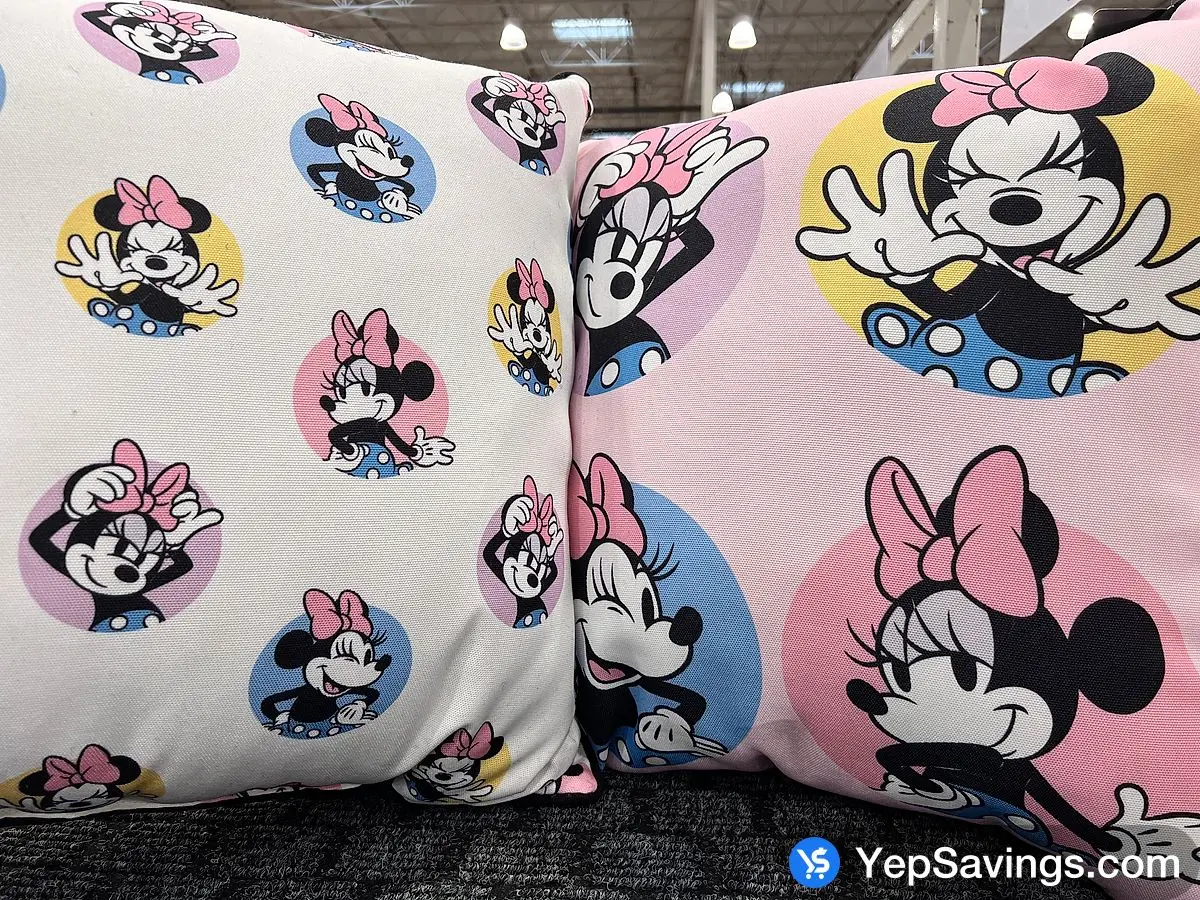 Costco LICENSED KIDS FLOOR PILLOW 22 " X 22 " - Canada (ITM 1790015)