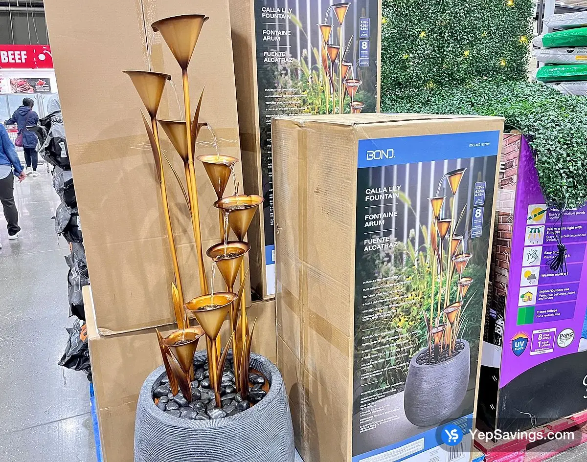 CALLA LILY FOUNTAIN view 3