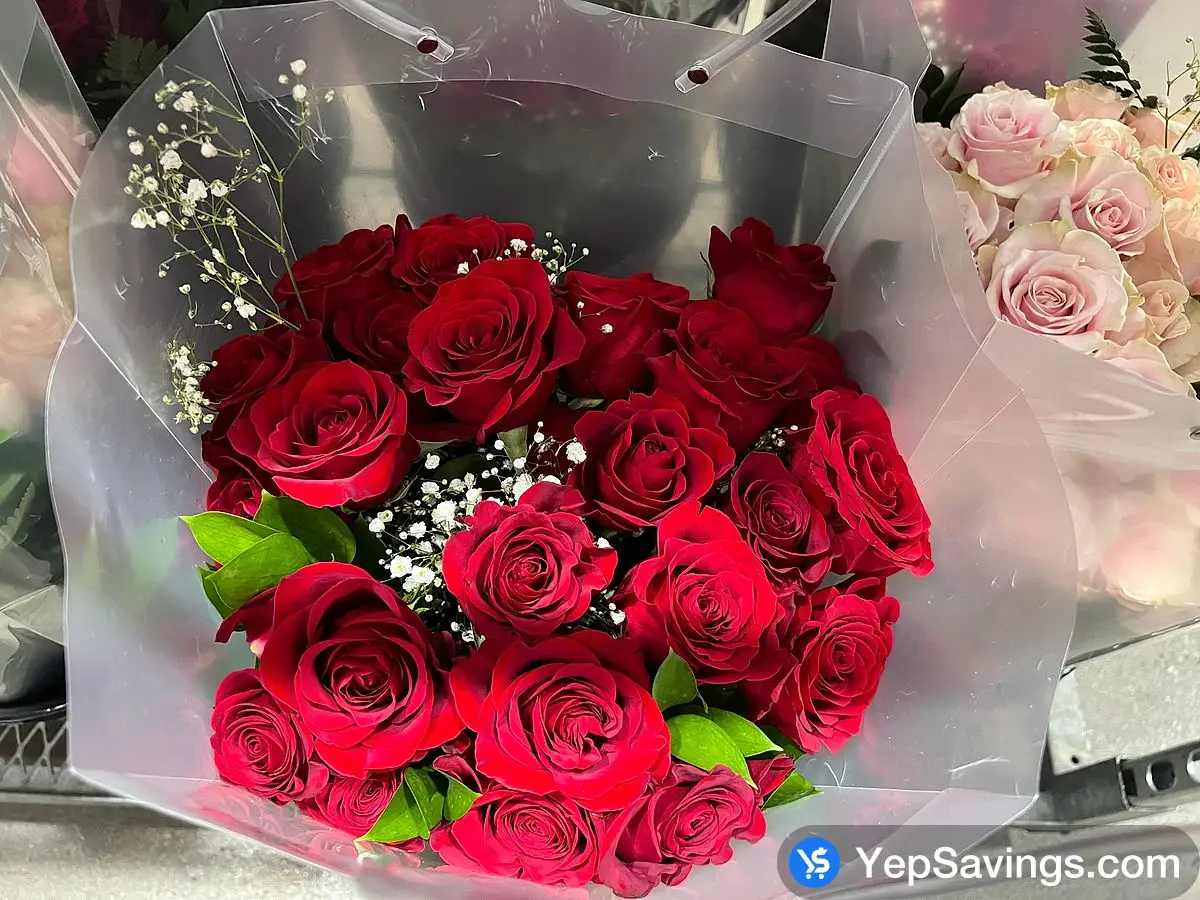 Costco BE MINE 24 RED ROSES IN A VASE - Canada (ITM 1109485)