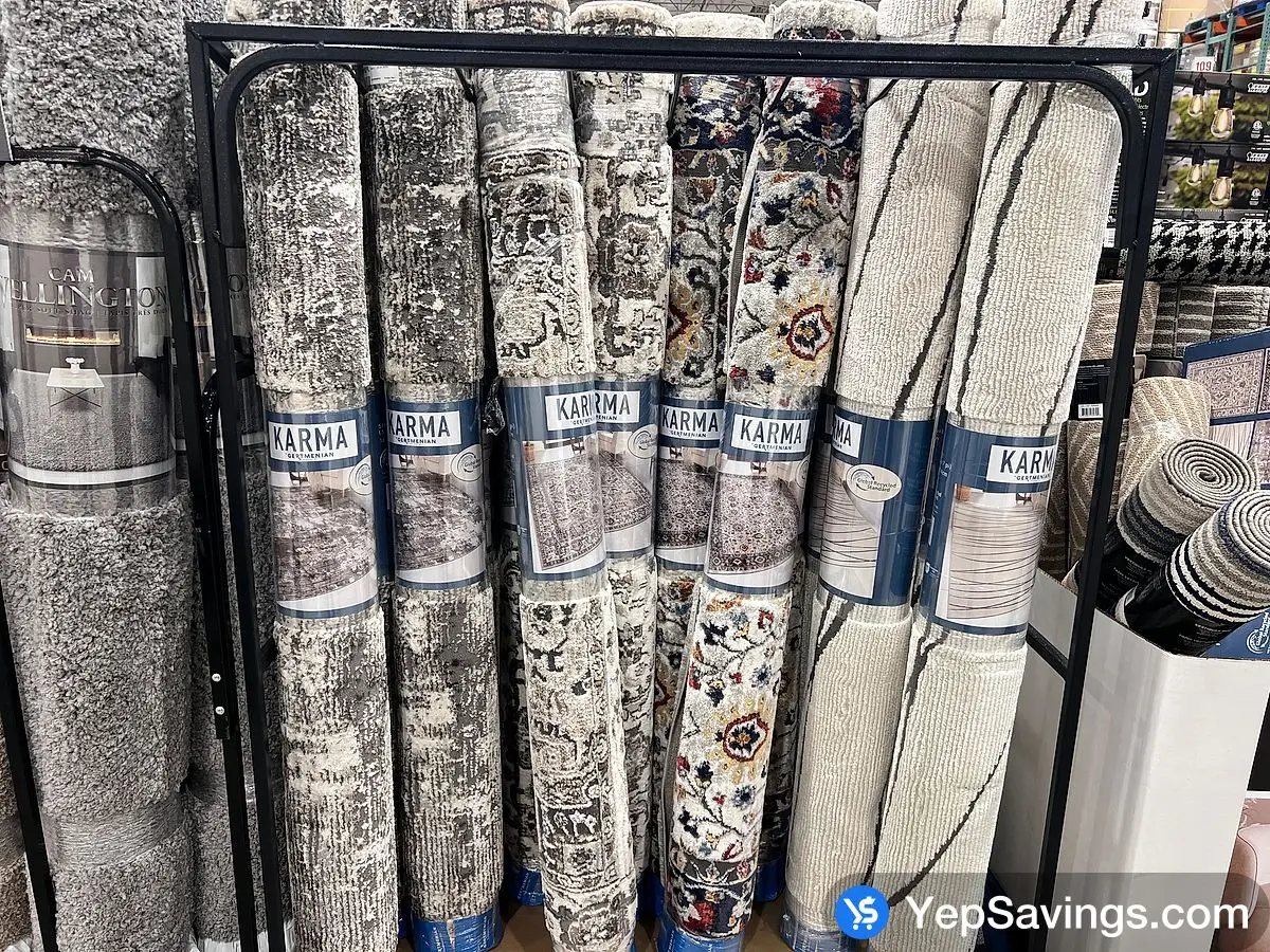 AREA RUG view 2