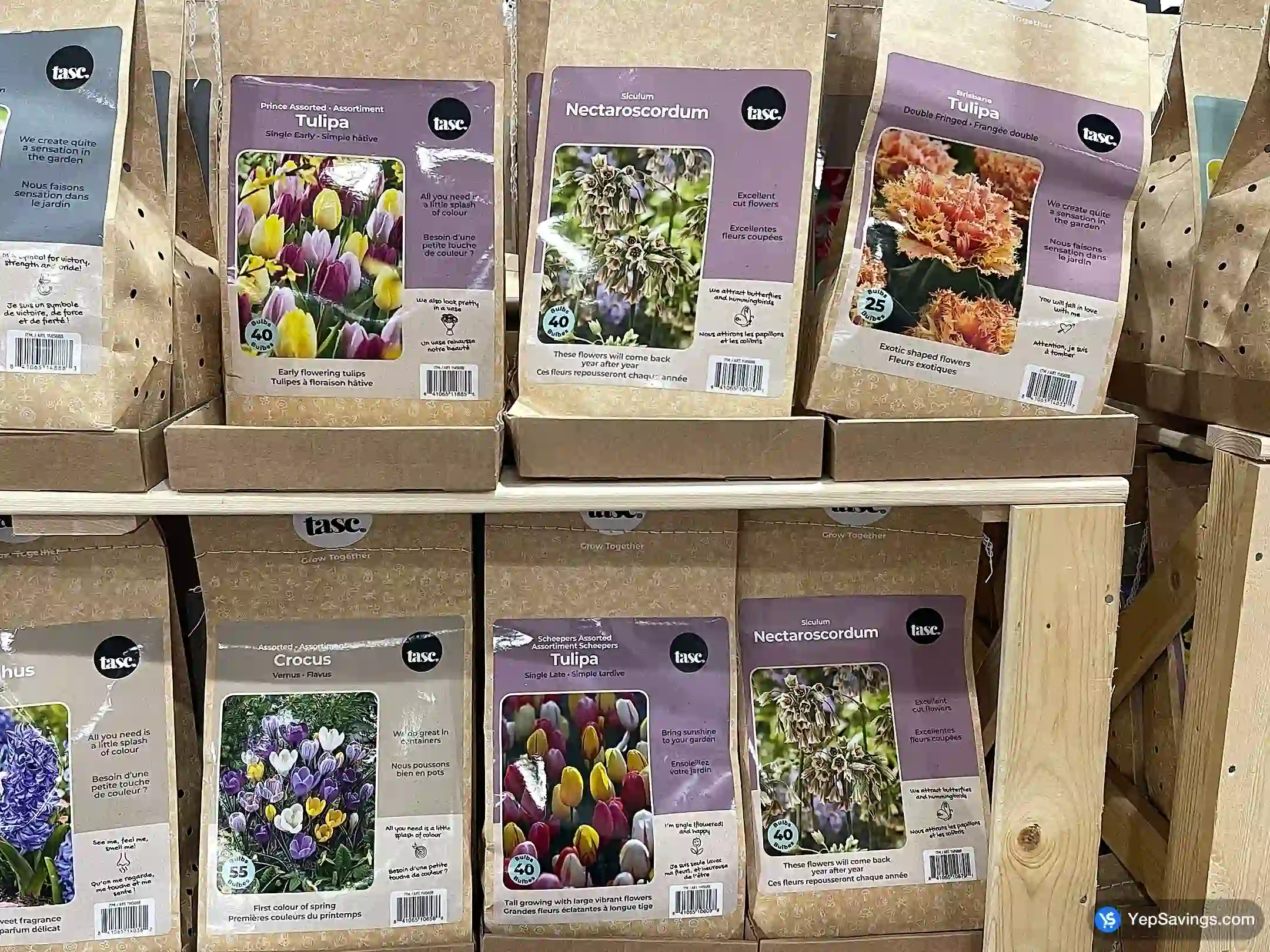 Costco BULBS ARE EASY AUTUMN BULBS ASSORTED - Canada (ITM 1145688)