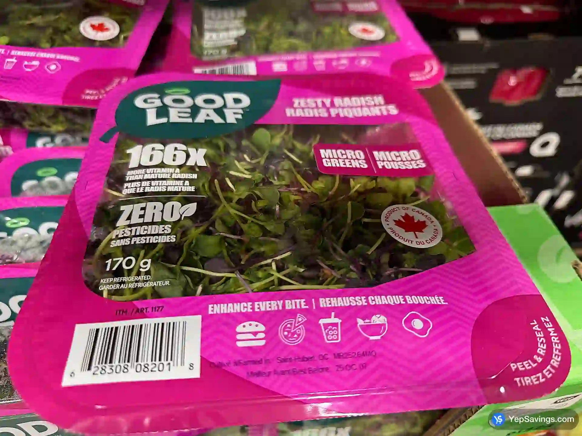 Costco ZESTY RADISH MICRO GREENS PRODUCT OF CANADA - Canada (ITM 1177)