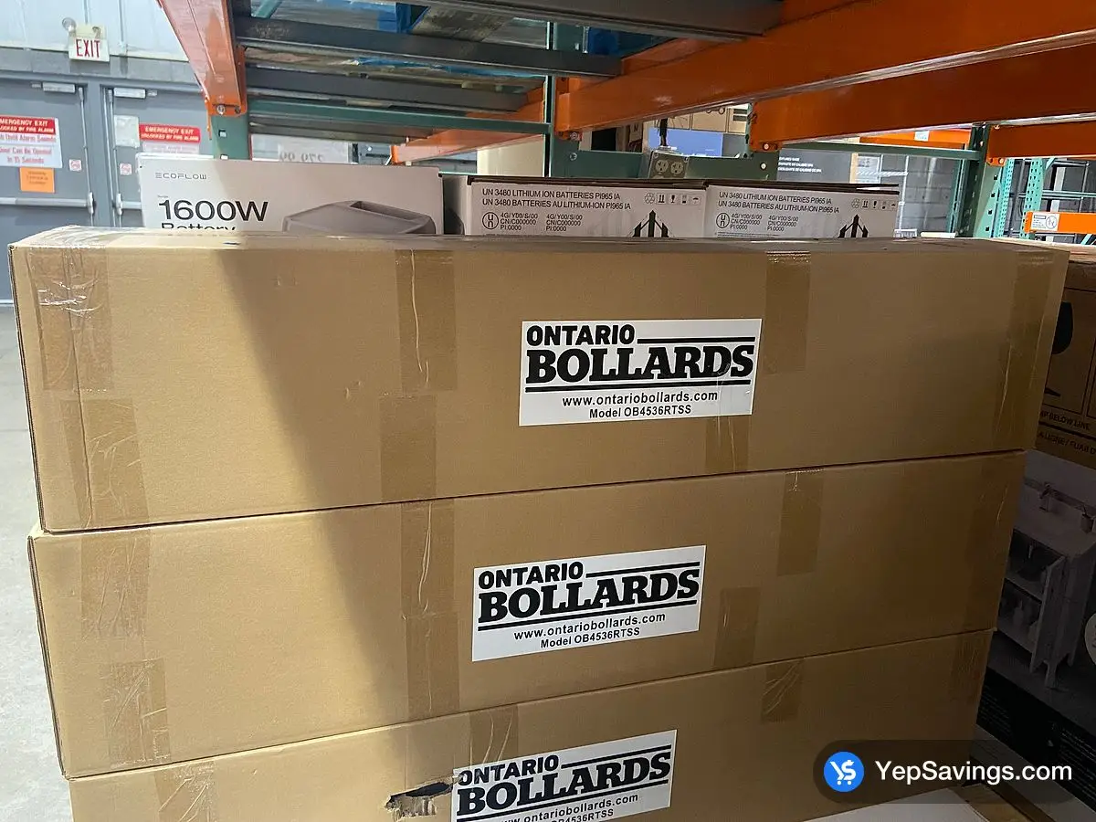 Costco ANNT SECURITY BOLLARD MANUAL RETRACTABLE - Canada (ITM 1844467)