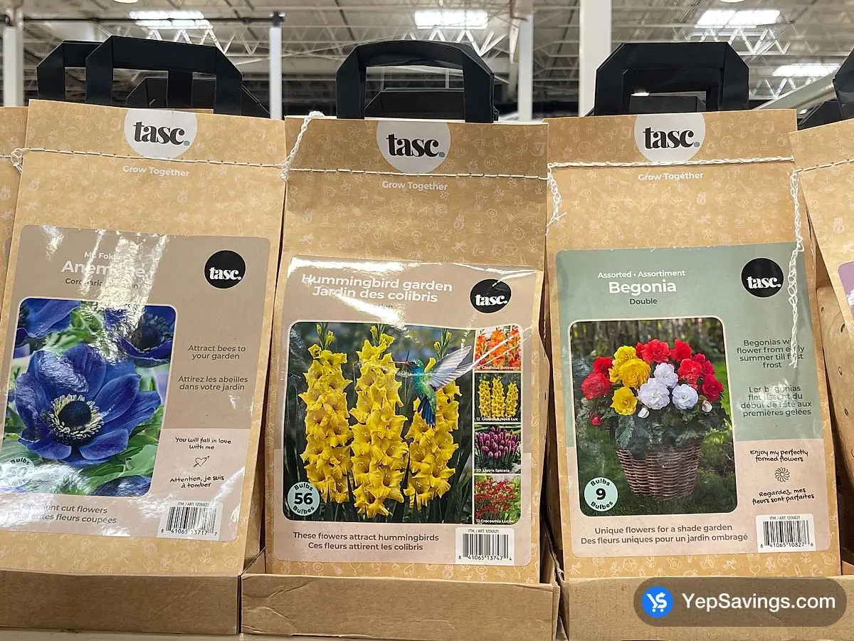 Costco BULBS ARE EASY ASSORTED SPRING BULBS - Canada (ITM 1206621)