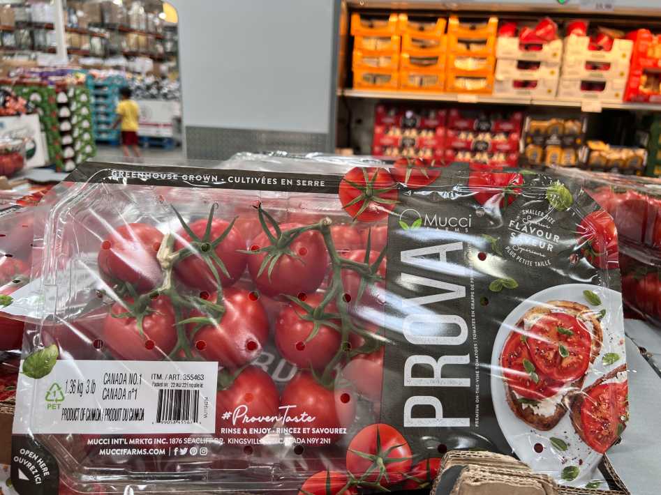 TOMATOES ON THE VINE PRODUCT OF CANADA  ITM 355463 at Costco