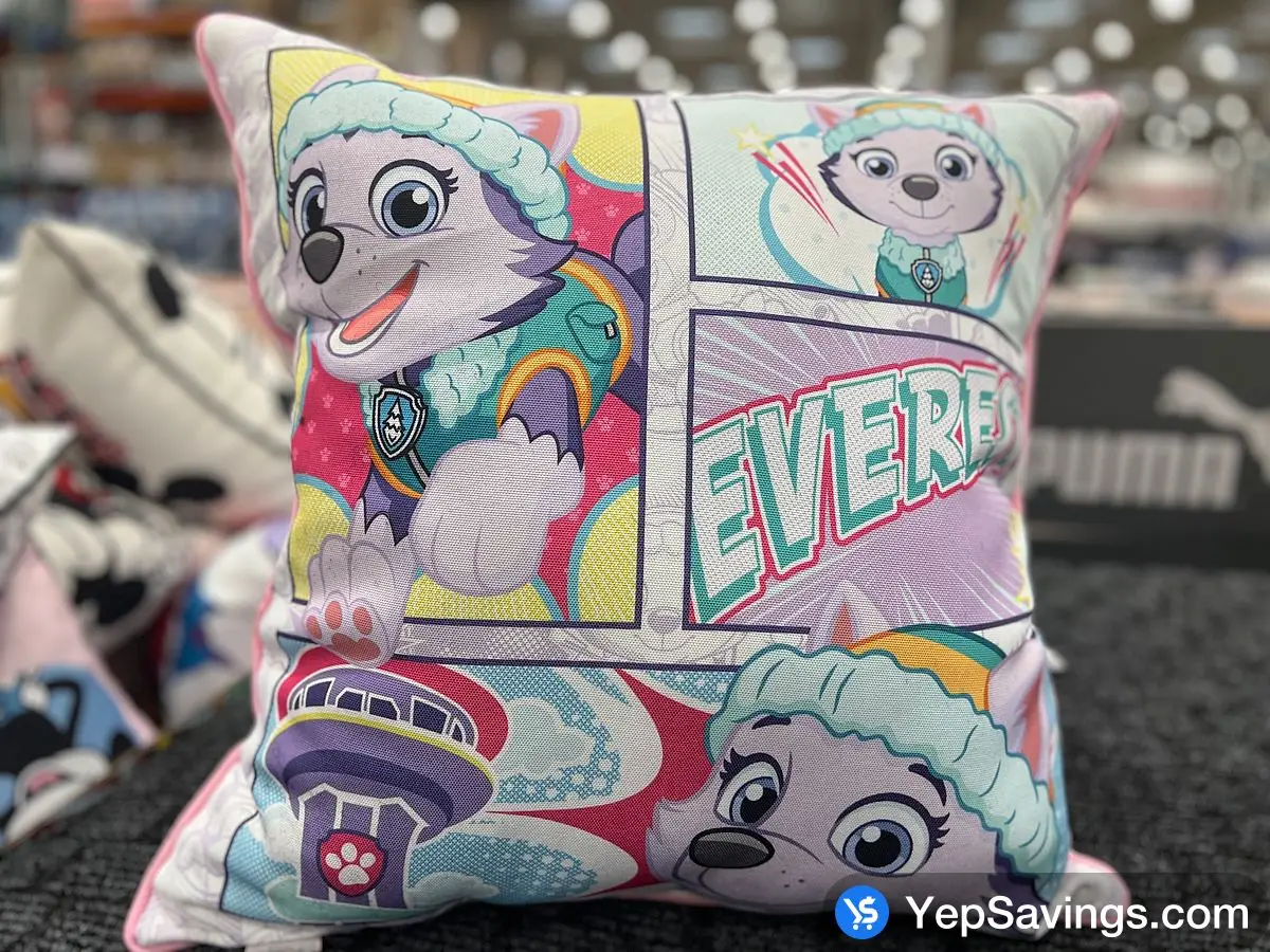 Costco LICENSED KIDS FLOOR PILLOW 22 " X 22 " - Canada (ITM 1790015)