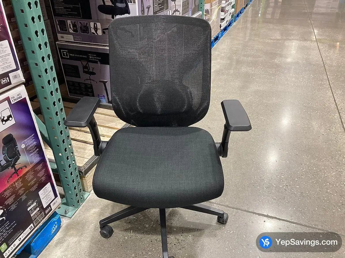 Costco TRUE INNOVATIONS MESH CHAIR ADJUSTABLE HEIGHT - Canada (ITM 1752566)