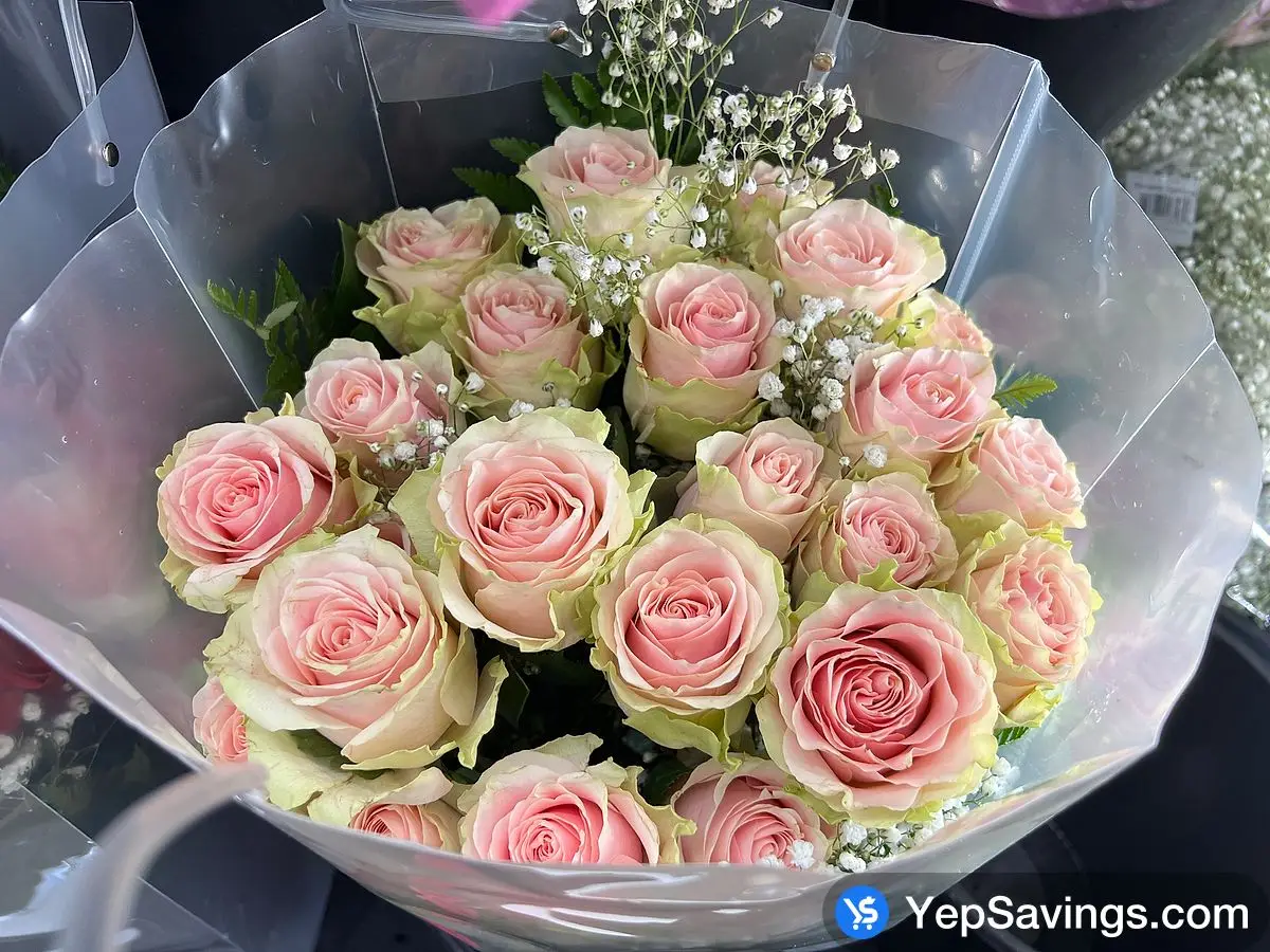 Costco BE MINE 24 RED ROSES IN A VASE - Canada (ITM 1109485)