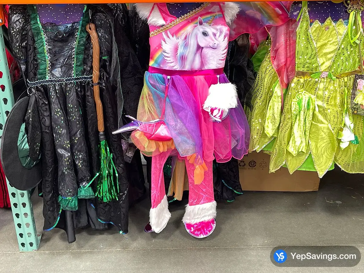 Costco TEETOT PRINCESS COSTUMES SIZES 3/4 TO 7/8 - Canada (ITM 1601410)