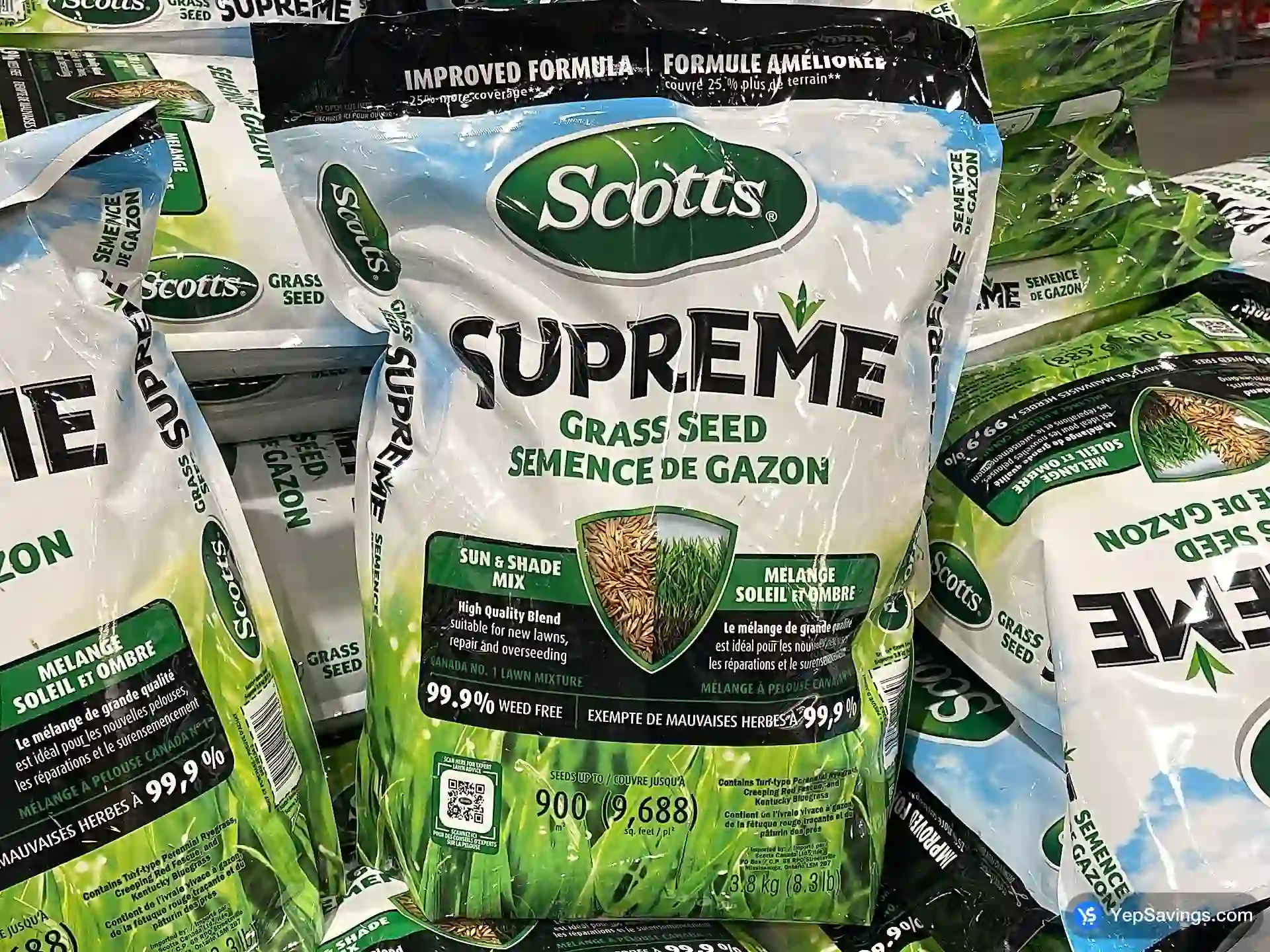 SUPREME GRASS SEED view 2