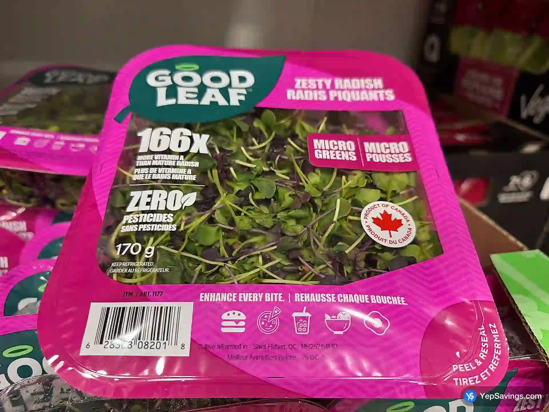 Costco ZESTY RADISH MICRO GREENS PRODUCT OF CANADA - Canada (ITM 1177)