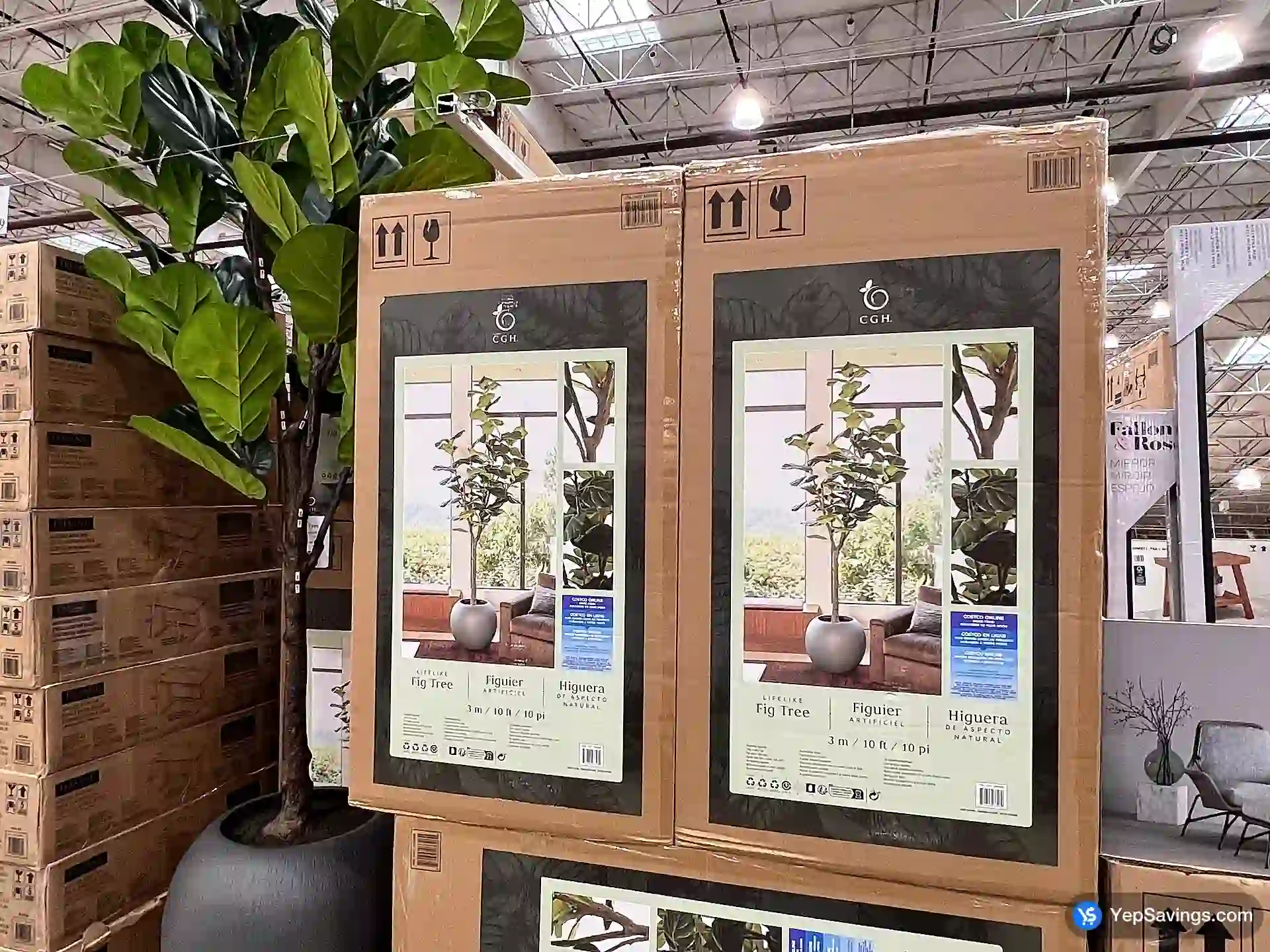 Costco CG HUNTER FAUX FIG TREE 10 ft / 1 BOX - Canada (ITM 1695489)