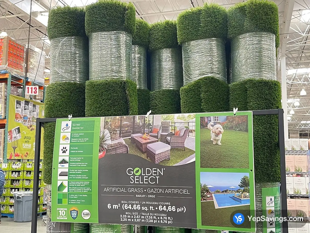 Costco GOLDEN SELECT ARTIFICIAL GRASS 2.25 m x 2.67 m - Canada (ITM 1766039)