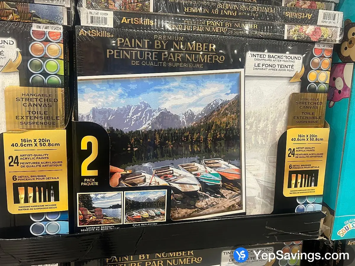 Costco ARTSKILLS PAINT BY NUMBER PACK OF 2 - Canada (ITM 1734224)