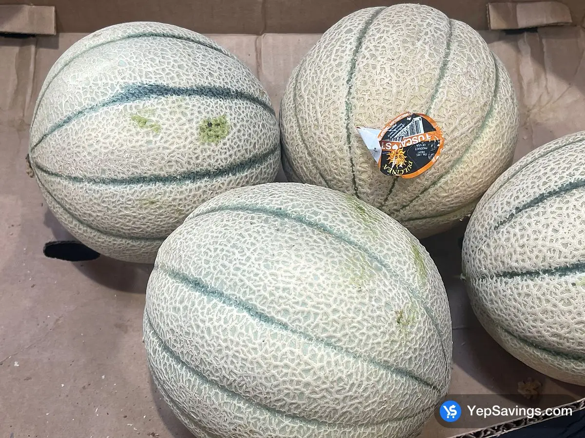 Costco TUSCAN CANTALOUPE PRODUCT OF USA NO.1 GRADE - Canada (ITM 140341)
