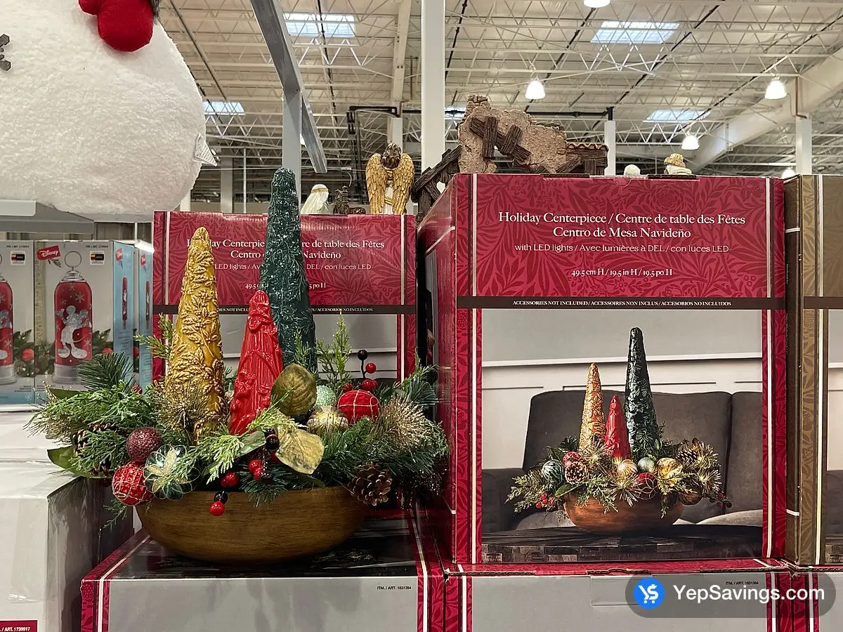 Costco HOLIDAY CENTERPIECE WITH LED LIGHTS 49.5 CM / 19.5 IN - Canada (ITM 1831394)