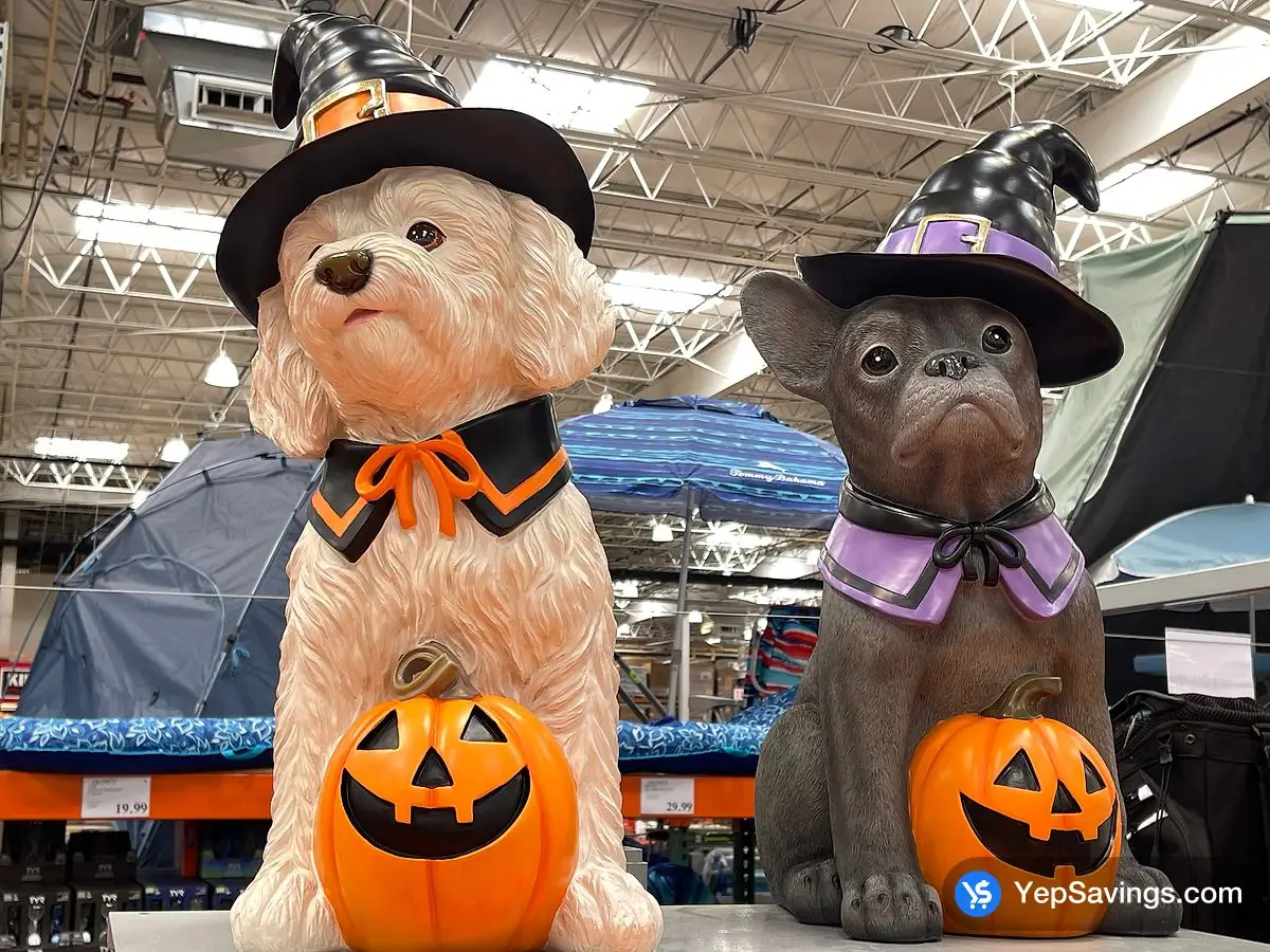 Costco HALLOWEEN DOG GREETER 26 IN / 66 CM - Canada (ITM 1784963)