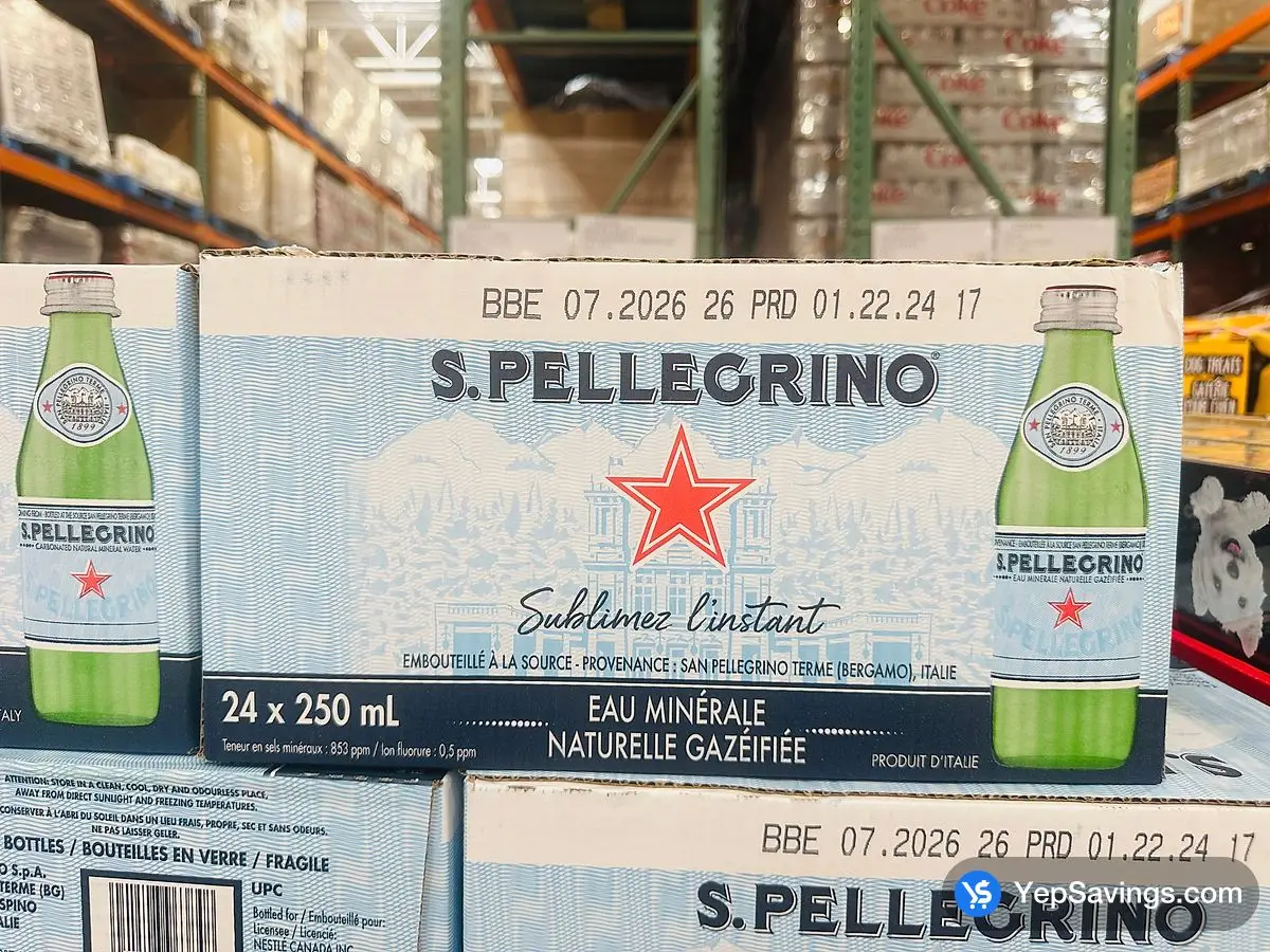 SAN PELLEGRINO MINERAL WATER 24 x 250 mL ITM 109450 at Costco