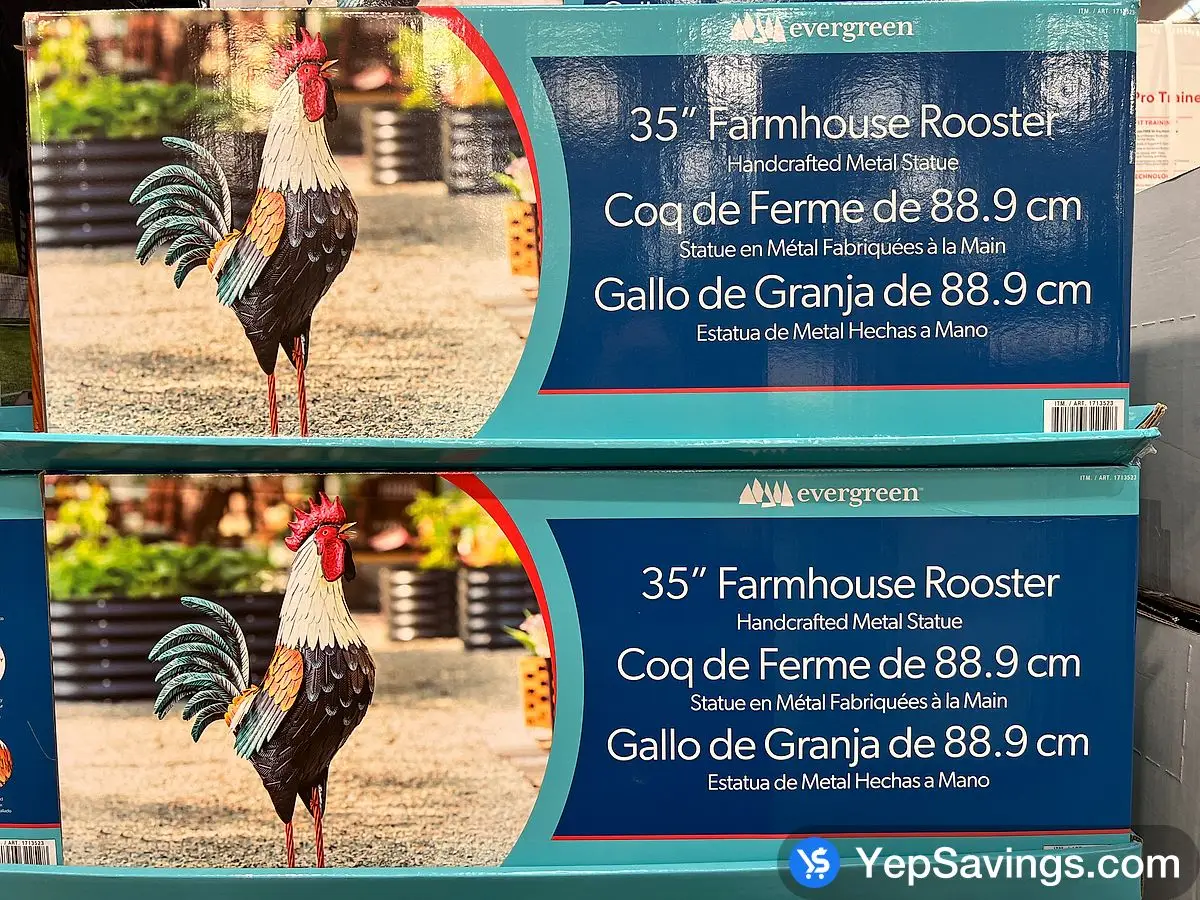 Costco EVERGREEN FARMHOUSE 35 " METAL ROOSTER STATUE - Canada (ITM 1713523)