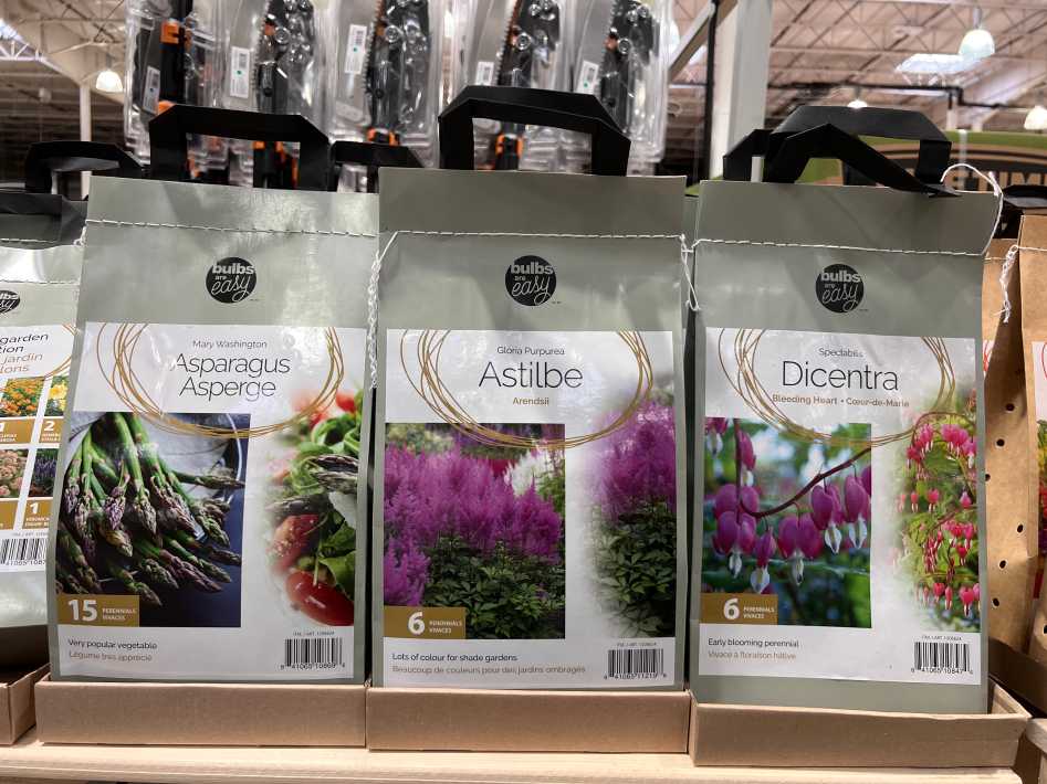 BULBS ARE EASY ASSORTED PERENNIAL BULBS ITM 1206624 at Costco