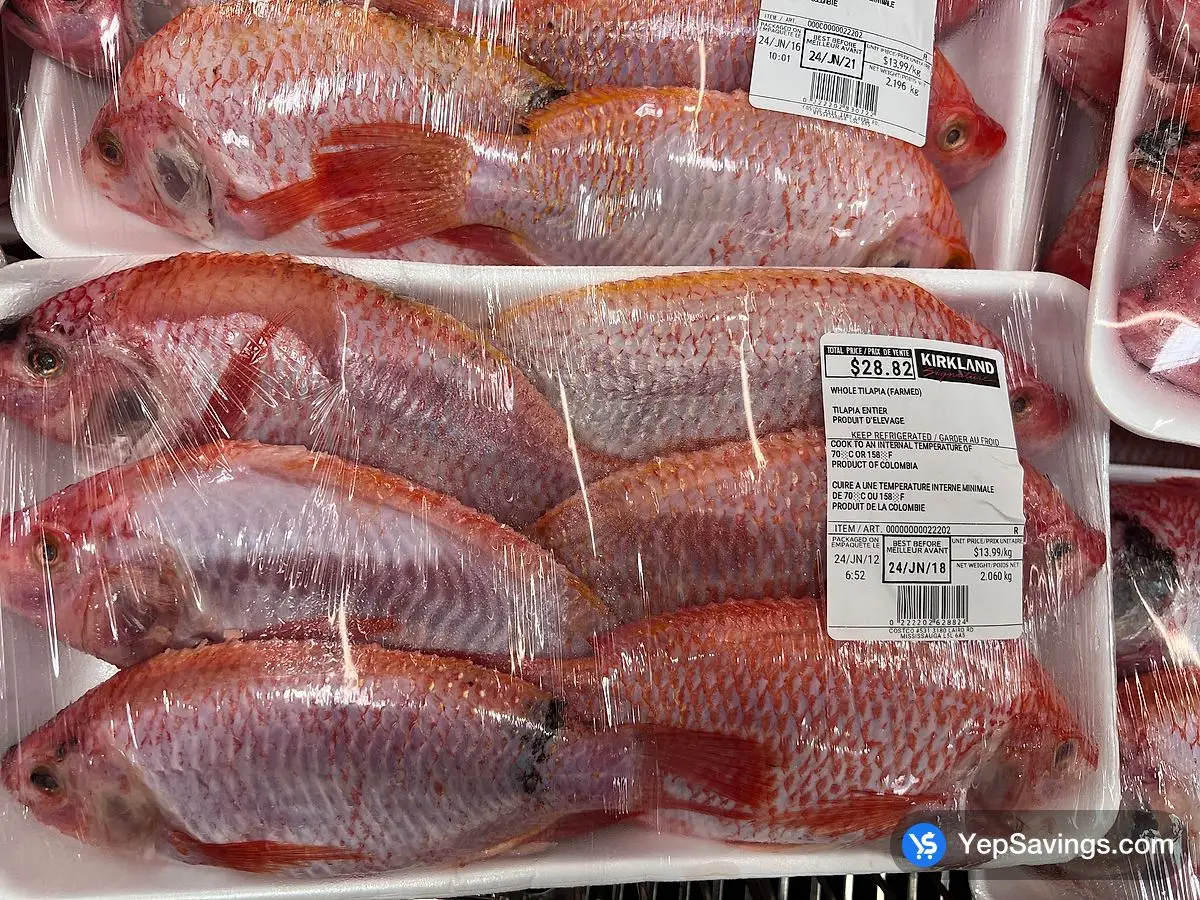 WHOLE TILAPIA ( FARMED )  ITM 22202 at Costco