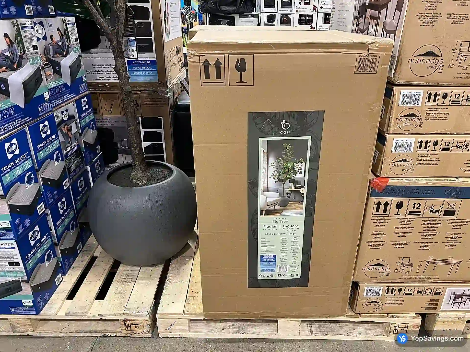 Costco CG HUNTER FAUX FIG TREE 10 ft / 1 BOX - Canada (ITM 1695489)