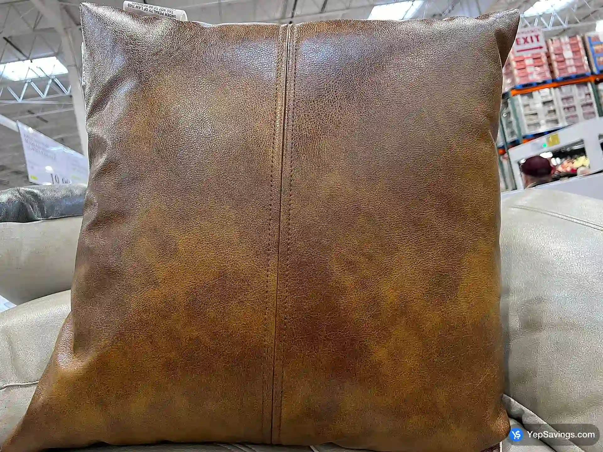 Costco STUDIOCHIC DECORATIVE CUSHION 22 " X 22 " - Canada (ITM 1727536)